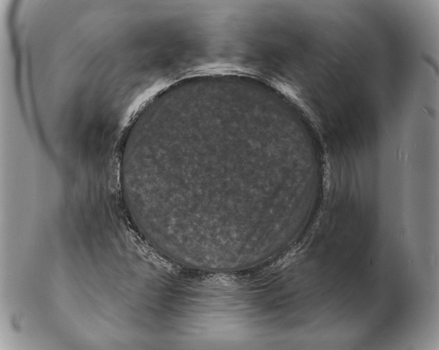 X0000102231358200808221258