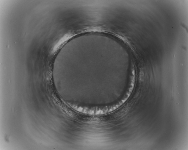 X0000102231359200808221258