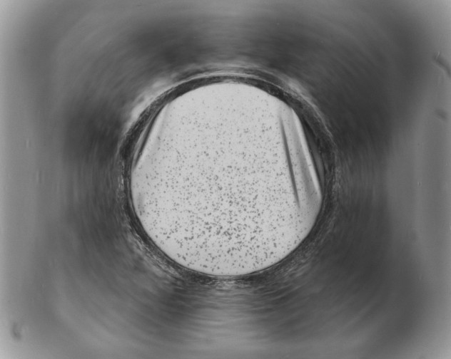 X0000102231360200808221258