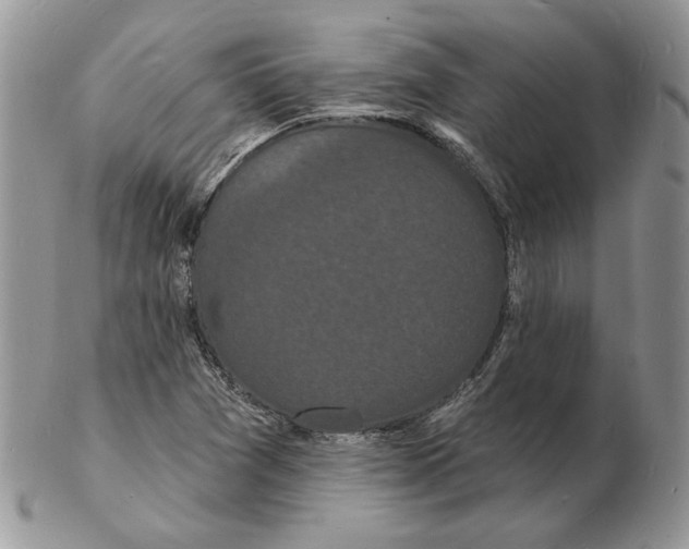 X0000102231361200808221258