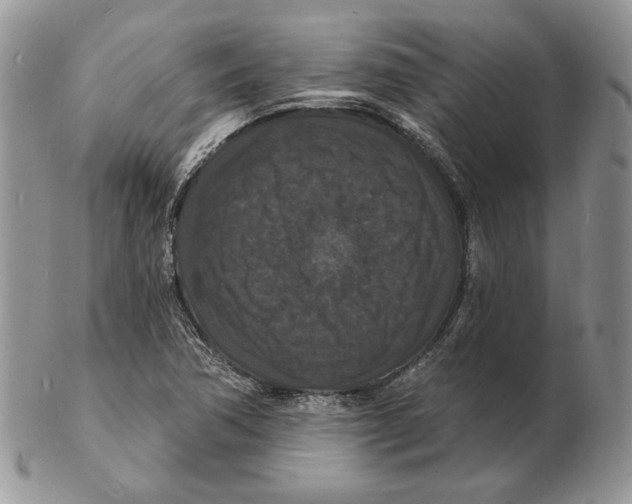 X0000102231362200808221258