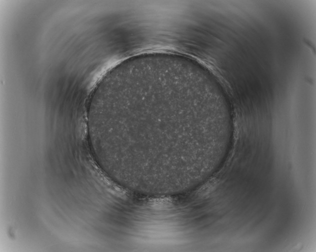 X0000102231363200808221258