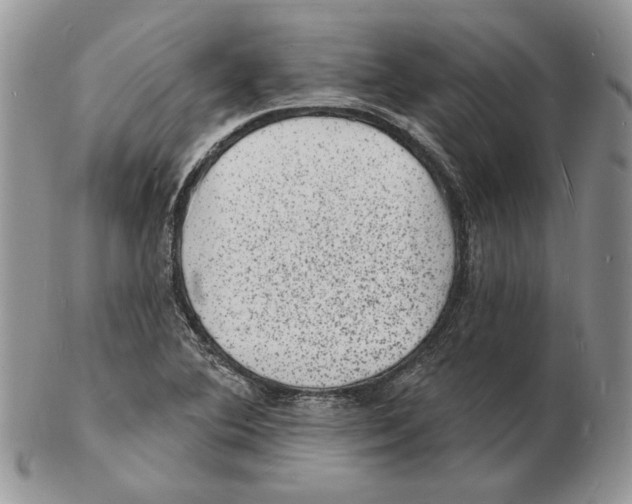 X0000102231364200808221258