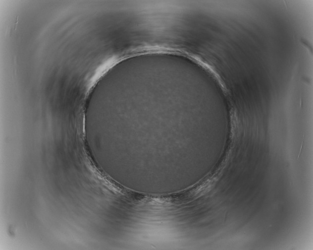 X0000102231365200808221258