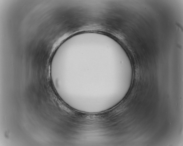 X0000102231366200808221258