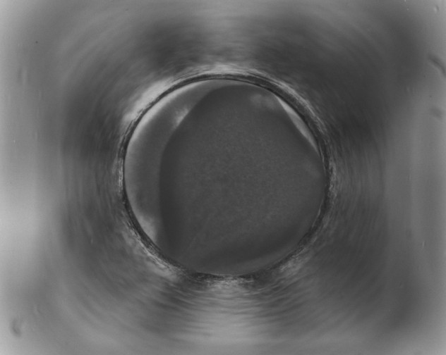 X0000102231367200808221258