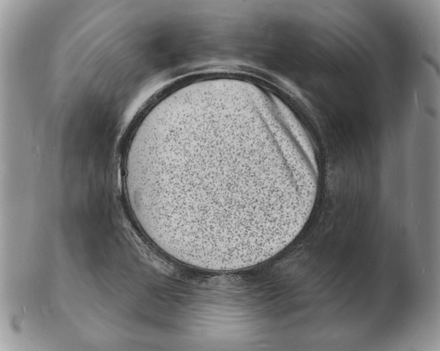 X0000102231368200808221258