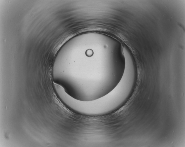 X0000102231369200808221258