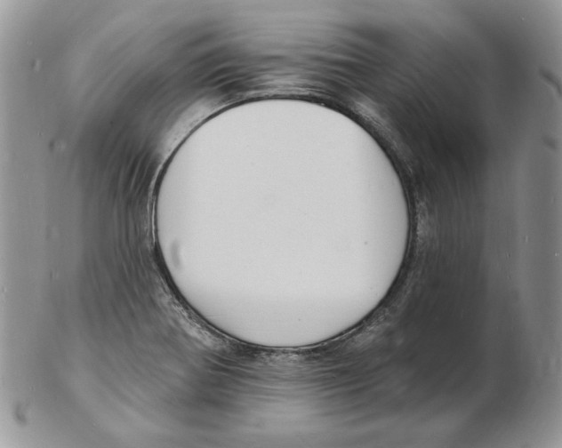 X0000102231370200808221258