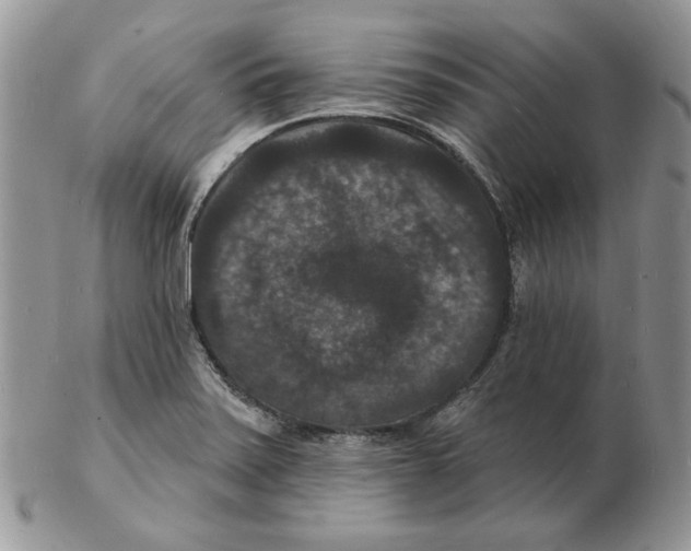 X0000102231371200808221258