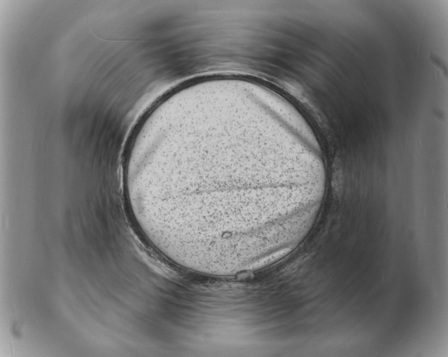 X0000102231372200808221258