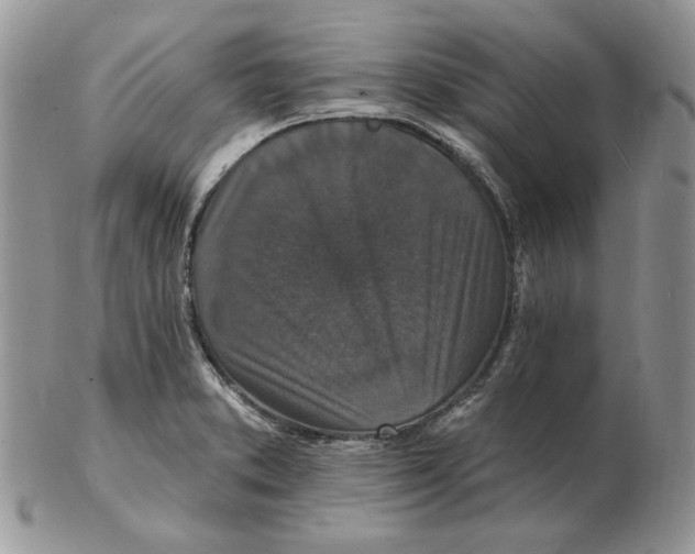 X0000102231373200808221258