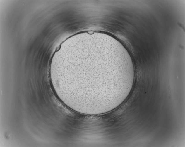 X0000102231374200808221258