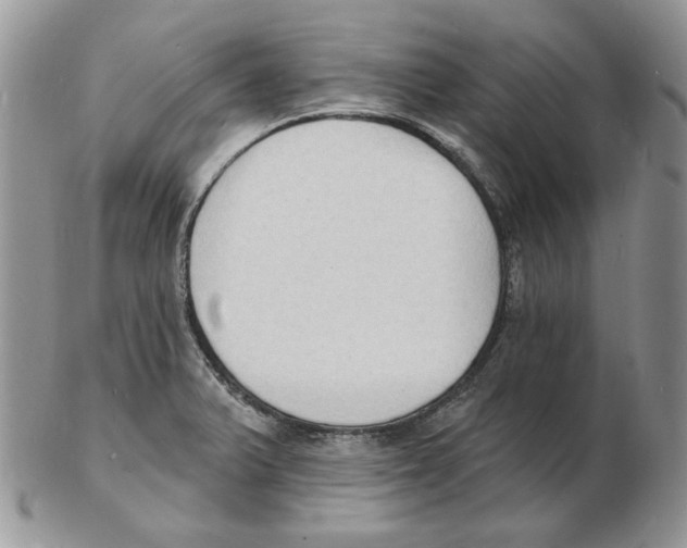 X0000102231375200808221258