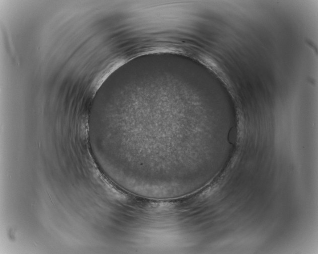 X0000102231377200808221258