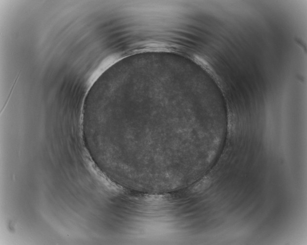 X0000102231378200808221258