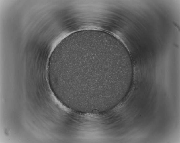 X0000102231379200808221258