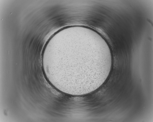 X0000102231380200808221258
