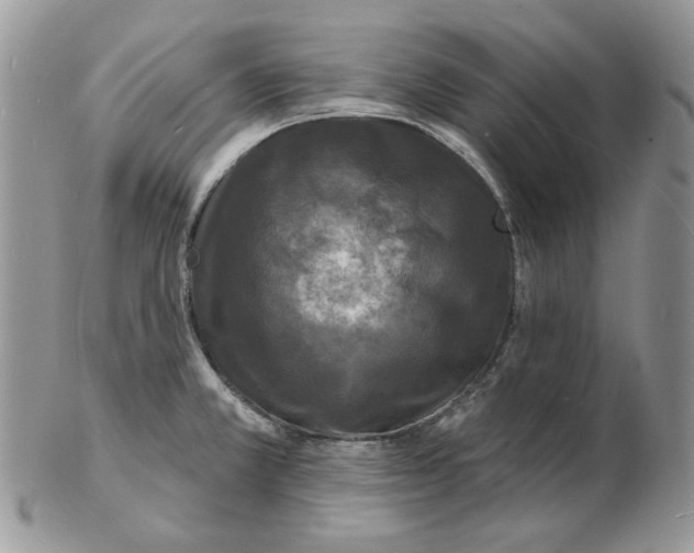 X0000102231381200808221258