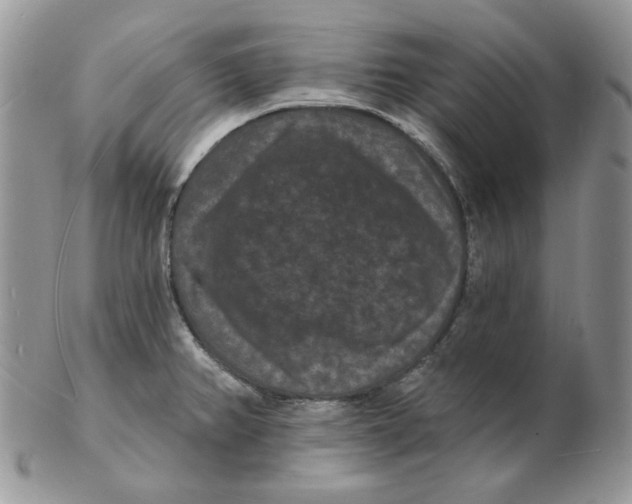 X0000102231382200808221258