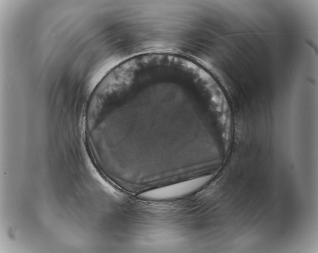 X0000102231383200808221258
