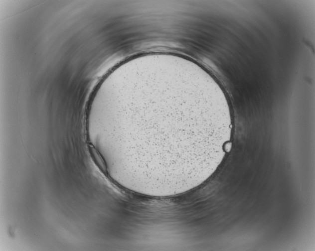 X0000102231384200808221258
