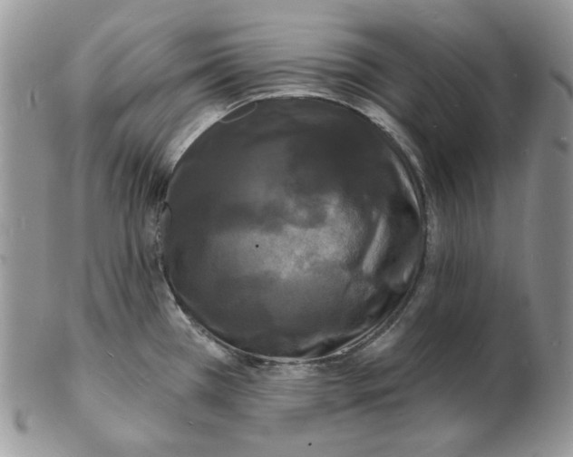 X0000102231385200808221258