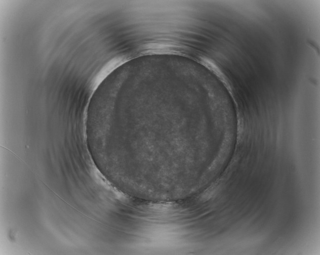 X0000102231386200808221258