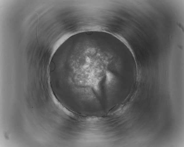 X0000102231389200808221258