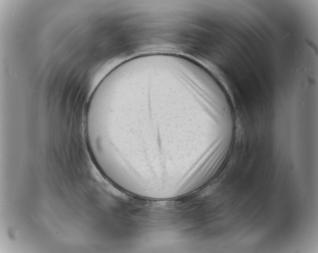 X0000102231390200808221258