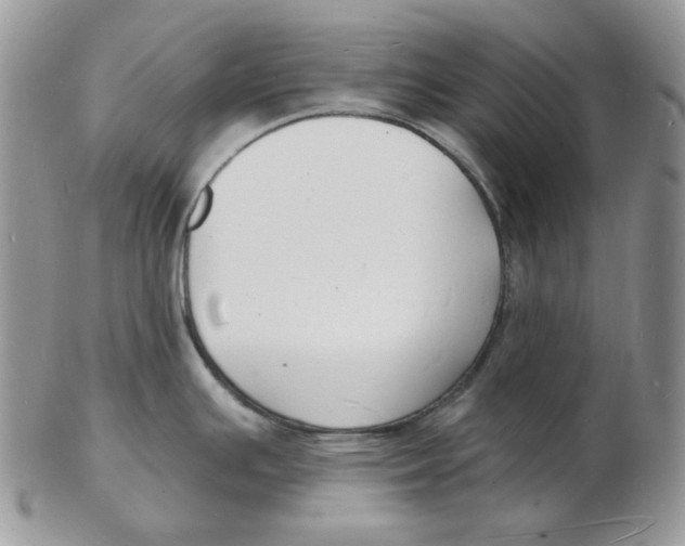 X0000102231391200808221258