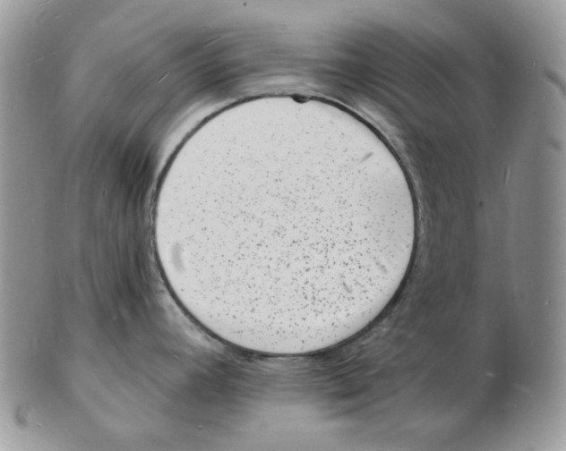 X0000102231392200808221258