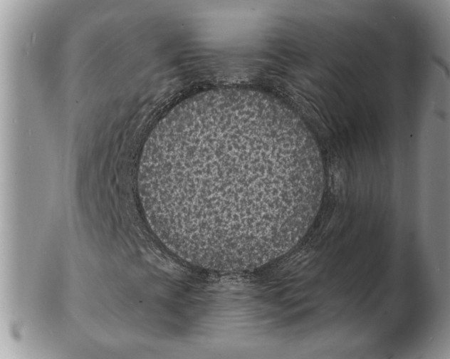 X0000102231393200808221257
