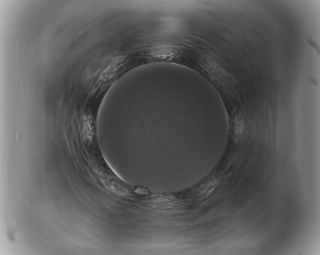 X0000102231394200808221257