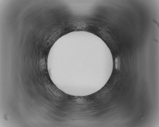 X0000102231395200808221257