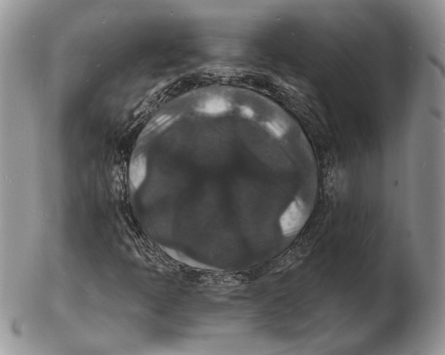 X0000102231397200808221257