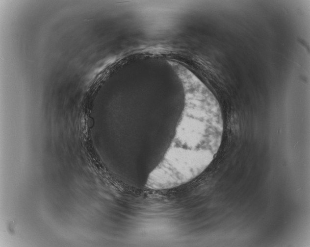 X0000102231398200808221257