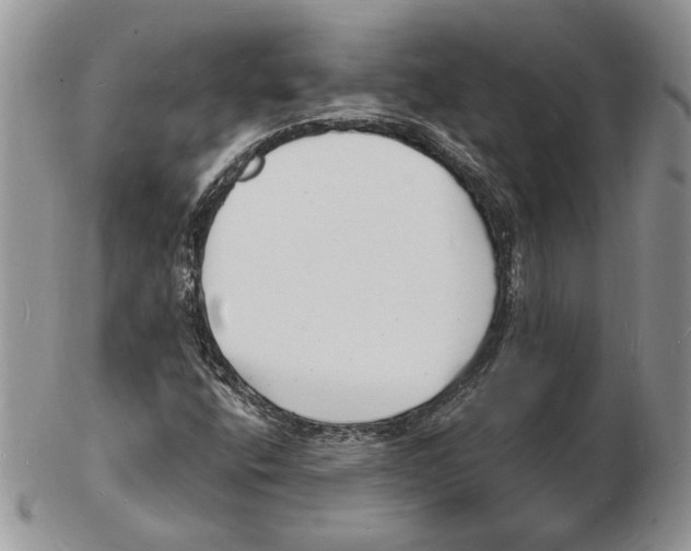 X0000102231400200808221257