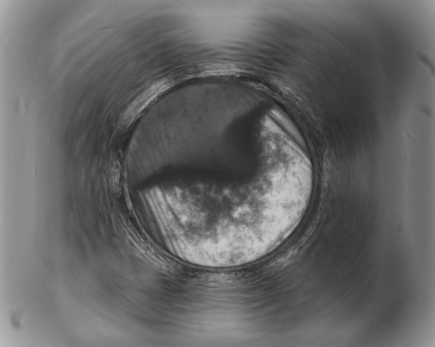 X0000102231401200808221257