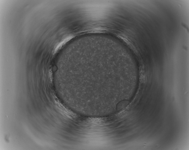 X0000102231402200808221257