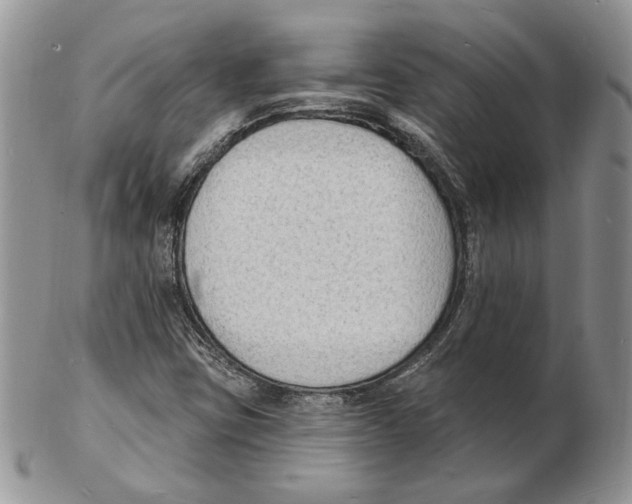 X0000102231403200808221257