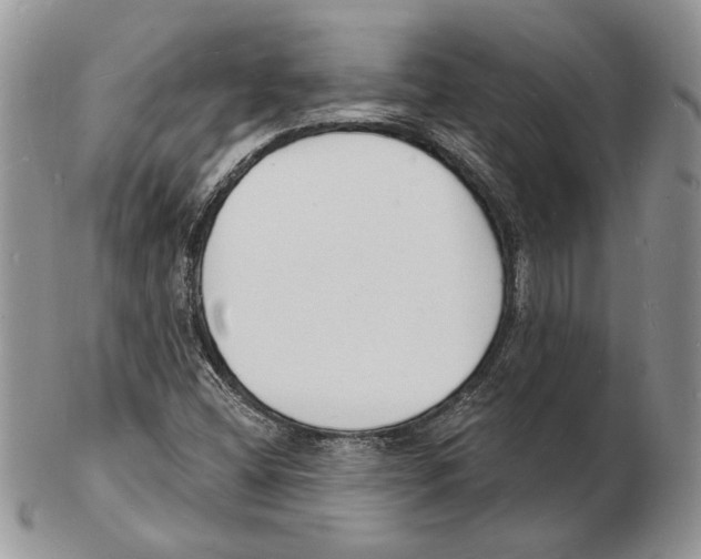 X0000102231404200808221257