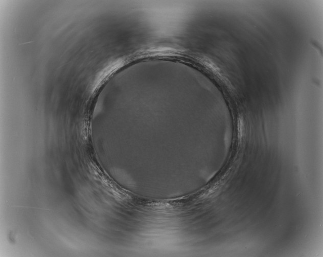 X0000102231405200808221257
