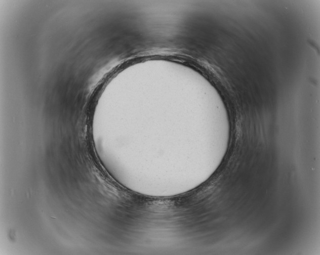 X0000102231406200808221257