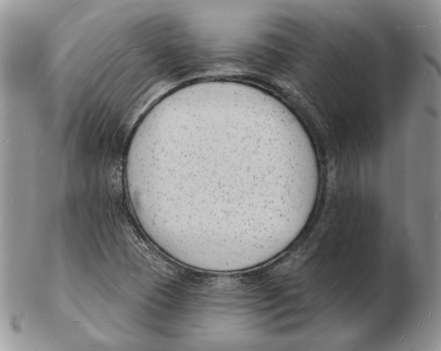 X0000102231409200808221257