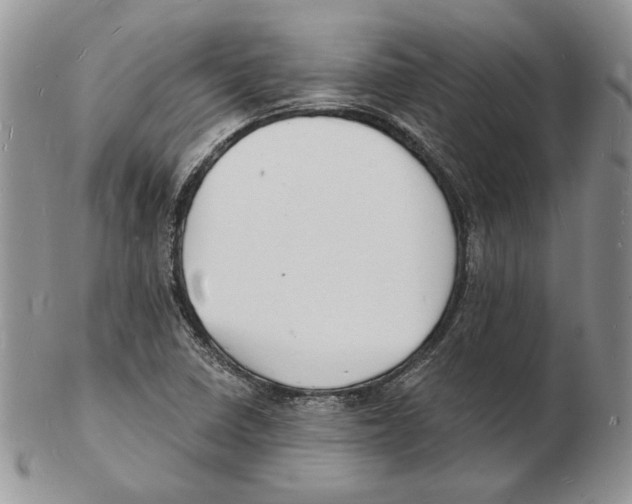 X0000102231410200808221257