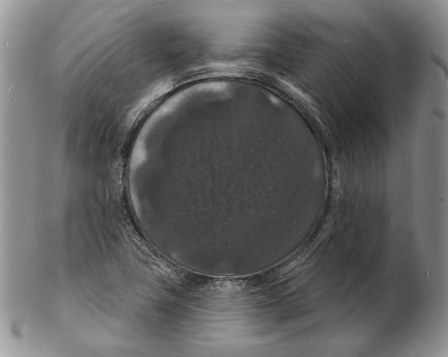X0000102231411200808221258