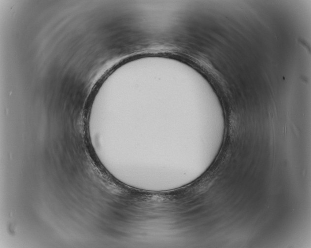 X0000102231412200808221258