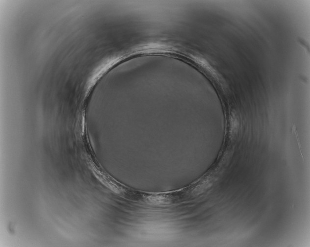 X0000102231413200808221258