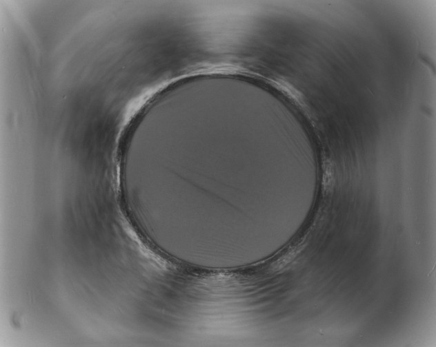 X0000102231414200808221258